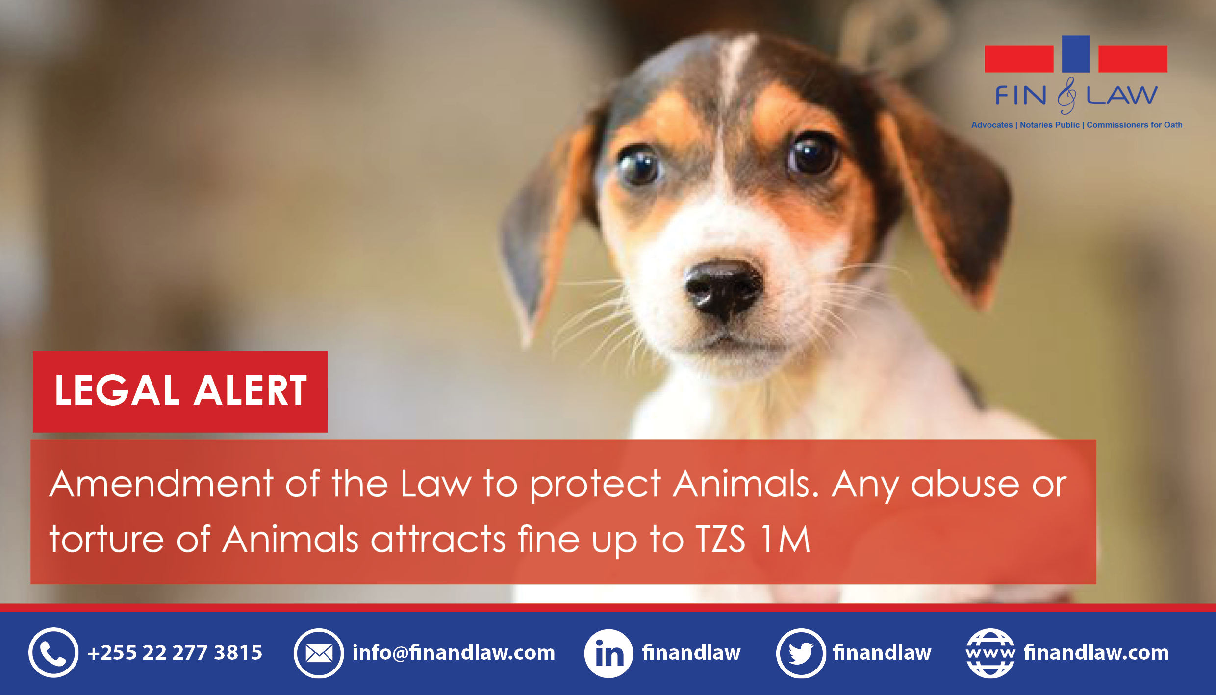 Amendment of the Law to Protect Animals in Tanzania – FIN & LAW