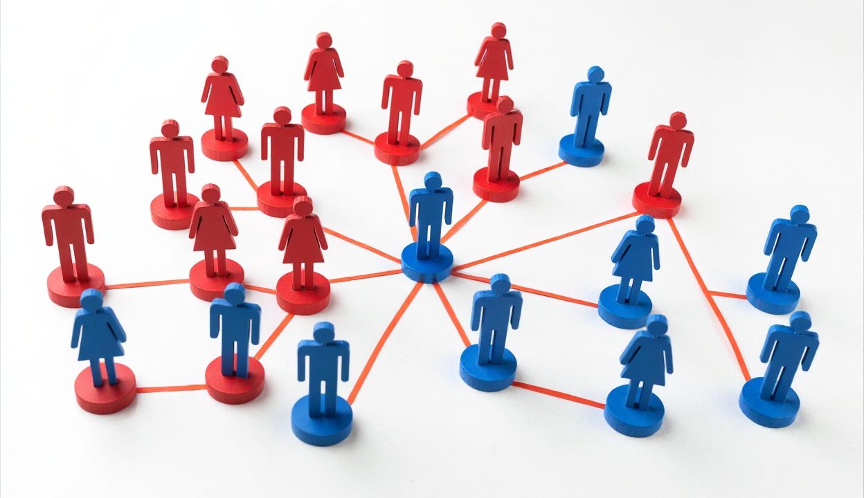 Week 08 of 2026: 16th to 20th February 2026